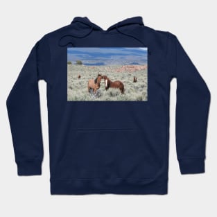 Wild horses, mustangs, wildlife, nature, gifts Hoodie